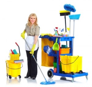 Websites: Cleaners Fazakerley